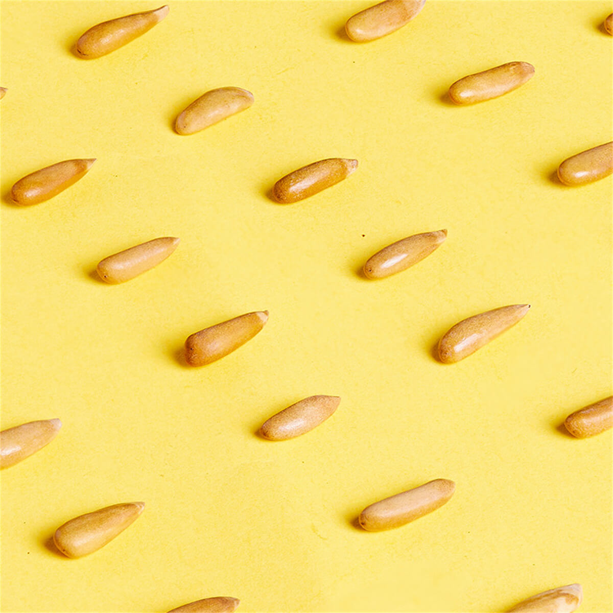 1735895286142551.jpg 6.jpg